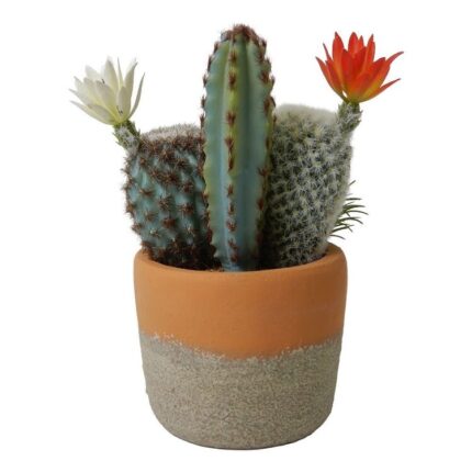 productHero-SPOTWF-BP80682754-green