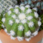productHero-SPOTWF-BP80682754-green-5