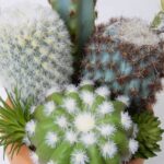 productHero-SPOTWF-BP80682754-green-6