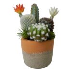 productHero-SPOTWF-BP80682754-green-7