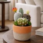 productHero-SPOTWF-BP80682754-green-8