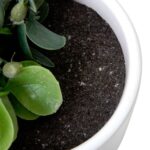 productHero-SPOTWF-BP80682755-green-2