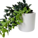 productHero-SPOTWF-BP80682755-green-3
