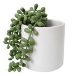 productHero-SPOTWF-BP80682756-green
