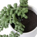 productHero-SPOTWF-BP80682756-green-2