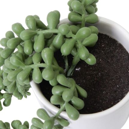 productHero-SPOTWF-BP80682756-green-2