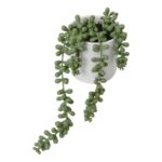 productHero-SPOTWF-BP80682756-green-3