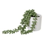 productHero-SPOTWF-BP80682756-green-6