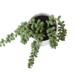 productHero-SPOTWF-BP80682756-green-8