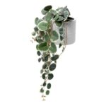 productHero-SPOTWF-BP80682757-green