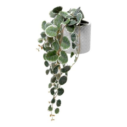 productHero-SPOTWF-BP80682757-green