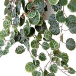 productHero-SPOTWF-BP80682757-green-5