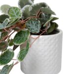 productHero-SPOTWF-BP80682757-green-6