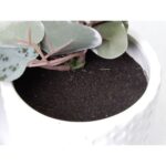productHero-SPOTWF-BP80682757-green-7