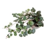productHero-SPOTWF-BP80682757-green-8