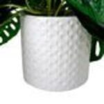 productHero-SPOTWF-BP80682758-green-2