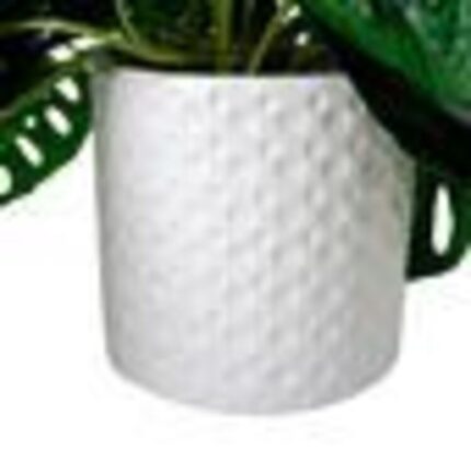 productHero-SPOTWF-BP80682758-green-2