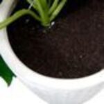 productHero-SPOTWF-BP80682758-green-3