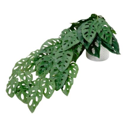 productHero-SPOTWF-BP80682758-green
