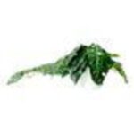 productHero-SPOTWF-BP80682758-green-5