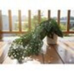 productHero-SPOTWF-BP80682758-green-6