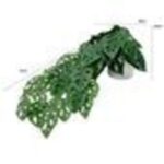 productHero-SPOTWF-BP80682758-green-7