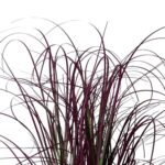 productHero-SPOTWF-BP80682762-red-2