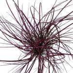 productHero-SPOTWF-BP80682762-red-8