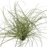 productHero-SPOTWF-BP80682767-green-7