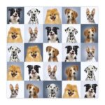 productHero-SPOTWF-BP80683268-multicoloured