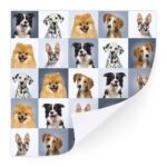 productHero-SPOTWF-BP80683268-multicoloured-3