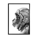 productHero-SPOTWF-BP80684113-black-frame