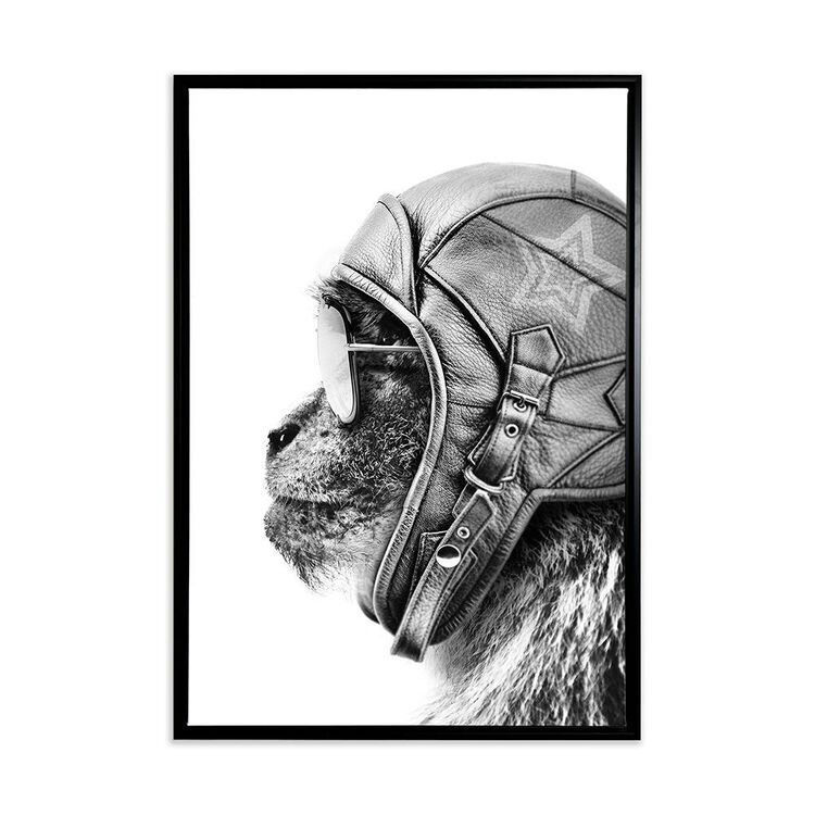 productHero-SPOTWF-BP80684113-black-frame productHero-SPOTWF-BP80684113-black-frame