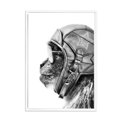 productHero-SPOTWF-BP80684113-white-frame