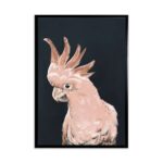 productHero-SPOTWF-BP80684165-black-frame