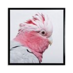productHero-SPOTWF-BP80684217-black-frame