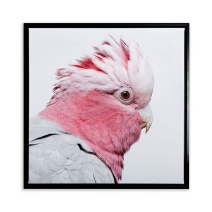 productHero-SPOTWF-BP80684217-black-frame