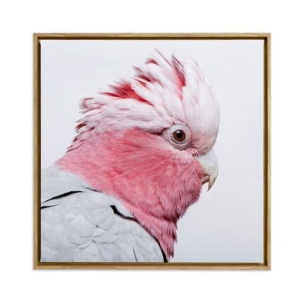 productHero-SPOTWF-BP80684217-oak-frame