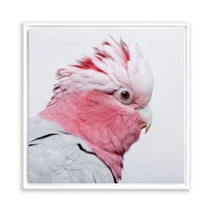 productHero-SPOTWF-BP80684217-white-frame