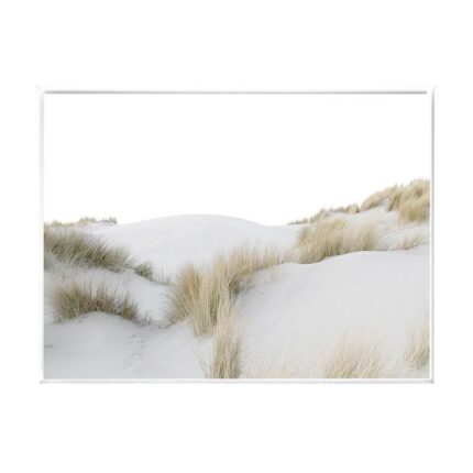 productHero-SPOTWF-BP80684229-white-frame