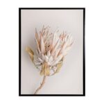productHero-SPOTWF-BP80684376-black-frame