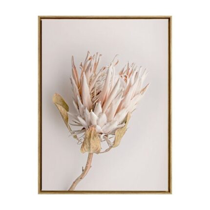 productHero-SPOTWF-BP80684376-oak-frame