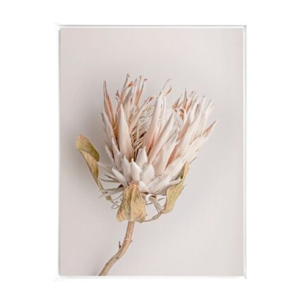 productHero-SPOTWF-BP80684376-white-frame