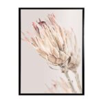 productHero-SPOTWF-BP80684413-black-frame
