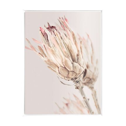 productHero-SPOTWF-BP80684413-white-frame