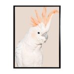 productHero-SPOTWF-BP80684440-black-frame