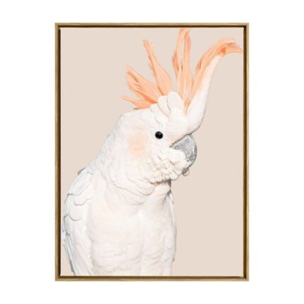 productHero-SPOTWF-BP80684440-oak-frame