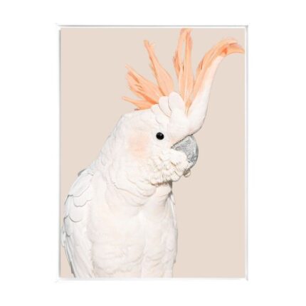 productHero-SPOTWF-BP80684440-white-frame