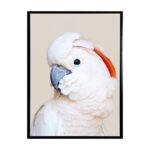productHero-SPOTWF-BP80684458-black-frame