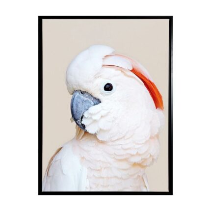 productHero-SPOTWF-BP80684458-black-frame